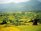 Kathmandu Valley 3 Chobar Gorge 01 Fields On Walk From Kirtipur To Chobar Gorge